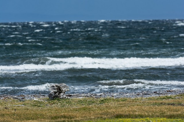 Wind over Magellan waters