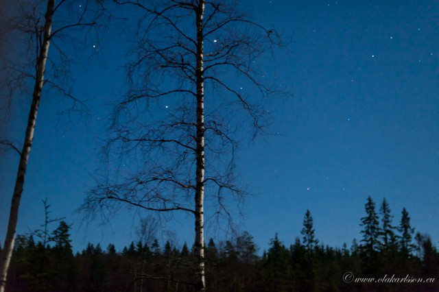 Frost and stars