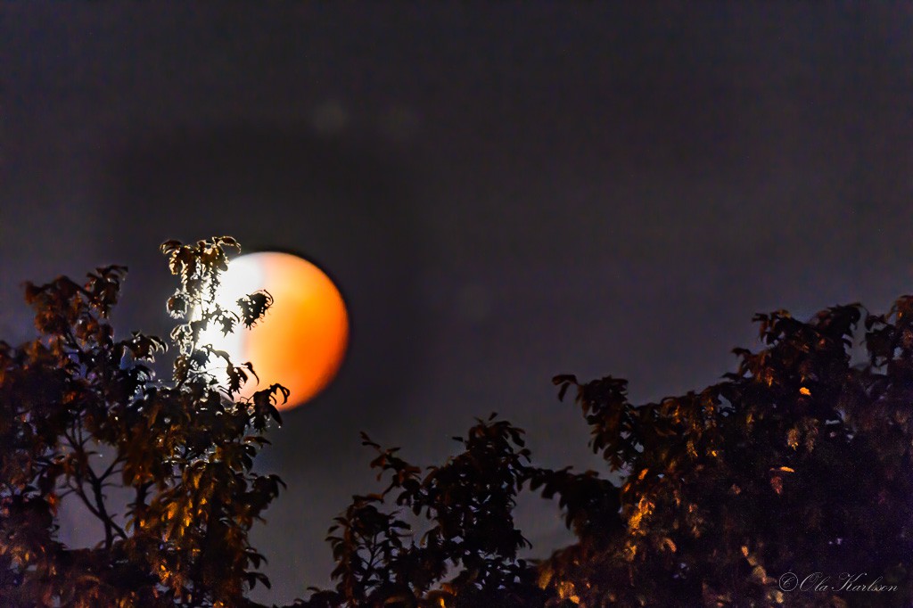 Super Blood Moon - Partial Eclipse - Moon going down in Lund. ©Ola Karlsson